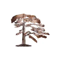 Greeting Pine Tree Wall Mountable Original Artwork