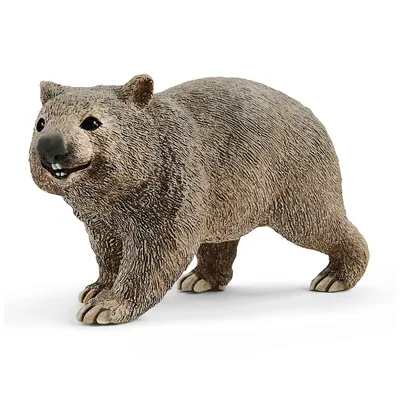 Wild Life: Wombat
