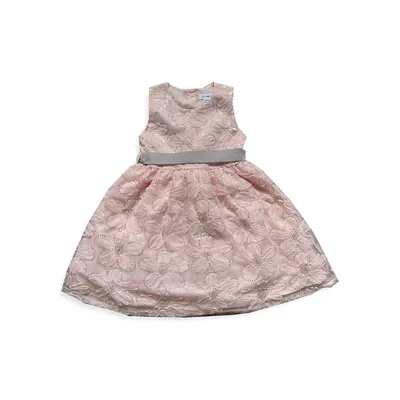 Little Girl's & Natalia Floral Embroidery Dress