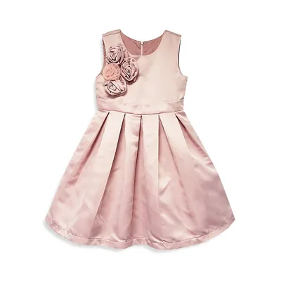 Little Girl's Alice Blush Dress