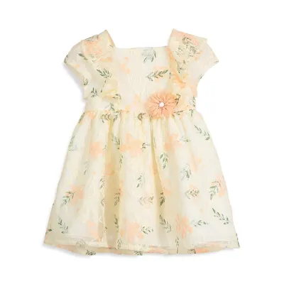 Baby Girl's Floral-Print Lace Dress