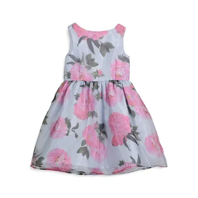 Baby Girl's Floral Fit-&-Flare Dress
