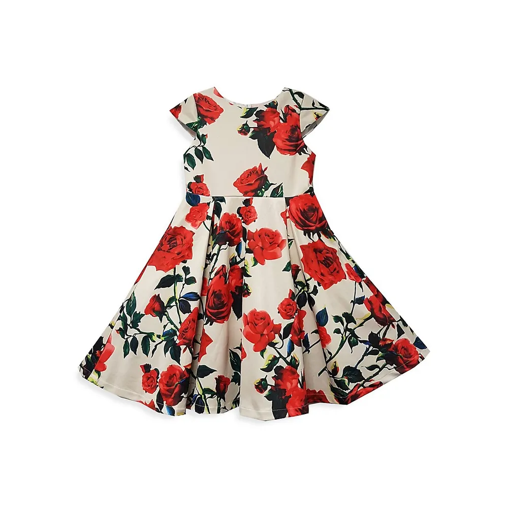 Baby Girl's Floral Pleated A-Line Dress