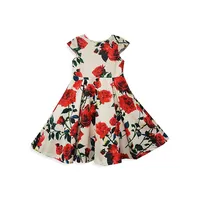 Baby Girl's Floral Pleated A-Line Dress