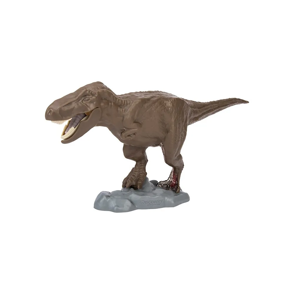 Trousse d'anatomie du T-Rex 4D