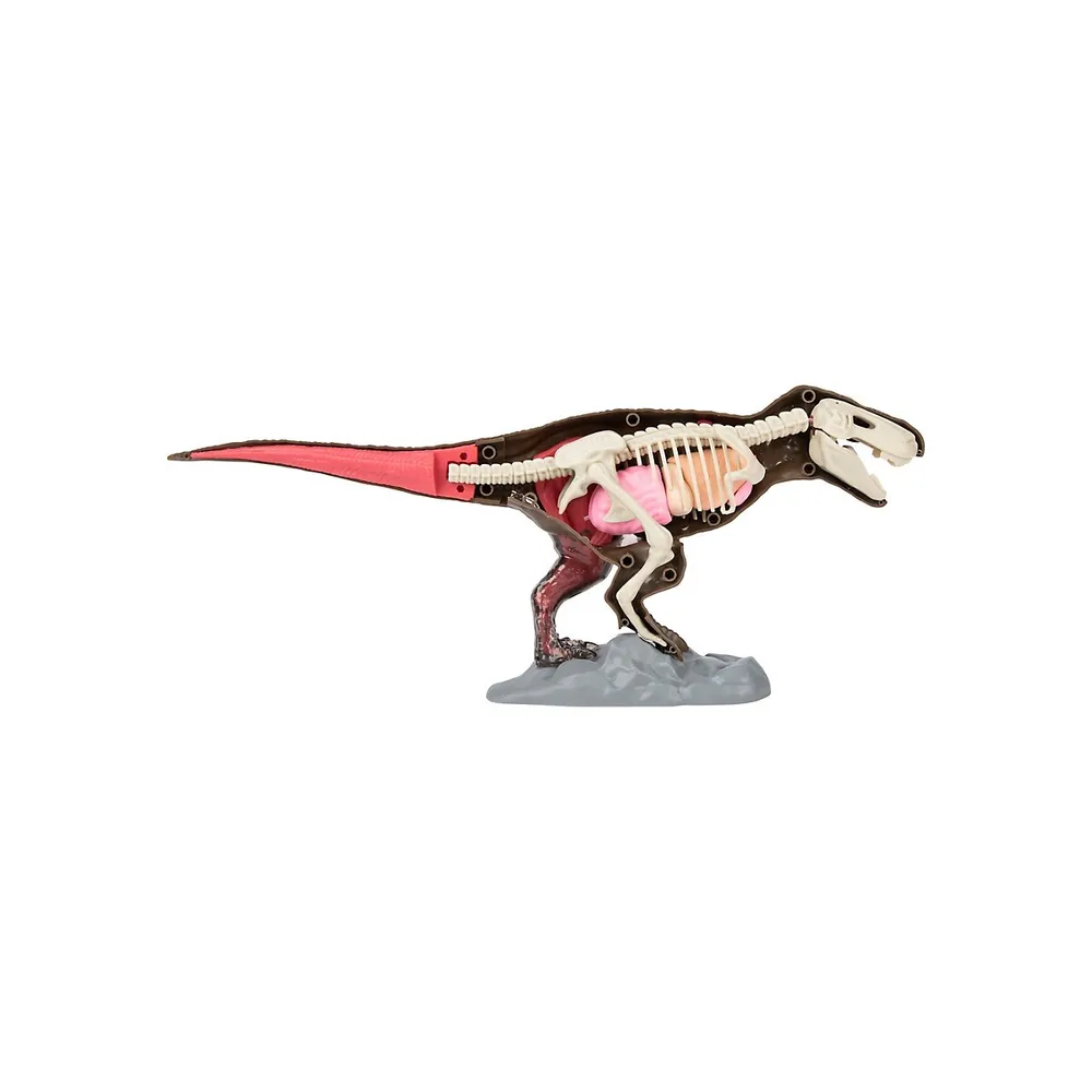 Trousse d'anatomie du T-Rex 4D