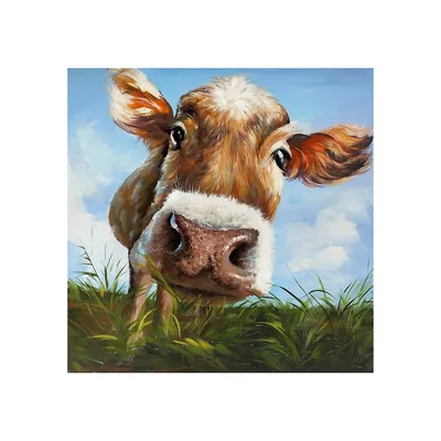 Cow In Field Wall Art