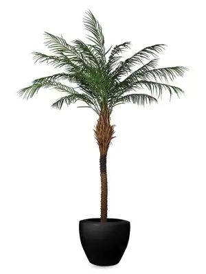 Artificial Phoenix Palm Plant