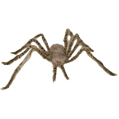 Light Brown Spider 40.9"
