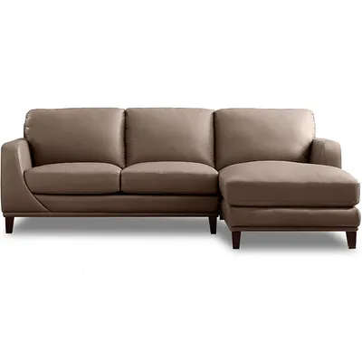 Soma 102.5 In. Leather Sofa With Right Chaise