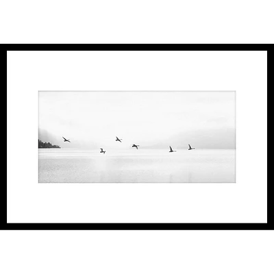 Birds Over Lake - Photography Under Glass