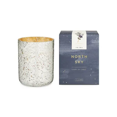 Noble Holiday North Sky Lux Mercury Tumbler Candle