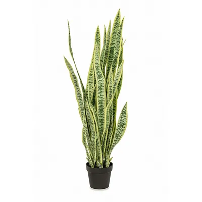 Faux Botanical Sansevieria In Green And Yellow 52 In. Height