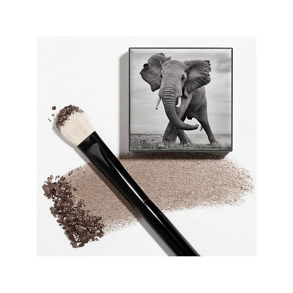 Pinceau pour les yeux Shade and Sweep