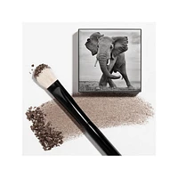 Pinceau pour les yeux Shade and Sweep