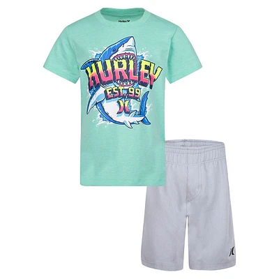 Little Boy's 2-Piece T-Shirt & Stretch-Woven Shorts Set