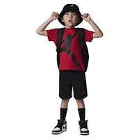 Little Boy's 2-Piece Jumbo Jumpman T-Shirt & Shorts Set