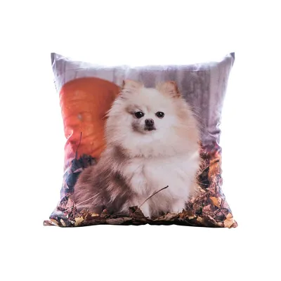 Pomeranian Feather-Fill Cushion