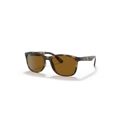Rb4374 Sunglasses