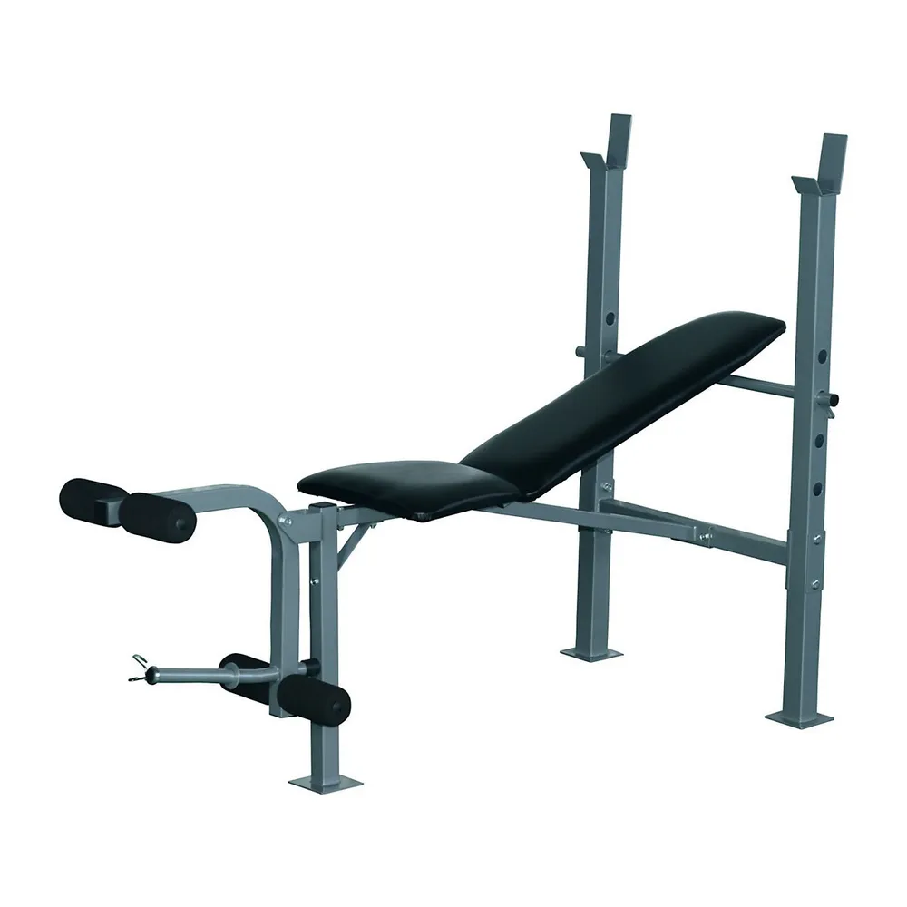 Soozier Multifunctional Sit Up Bench for Home, Office and Gym, Black