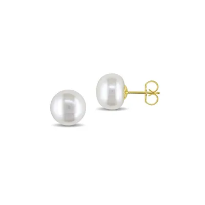 10-11MM White Cultured Pearl and 14K Yellow Gold Stud Earrings