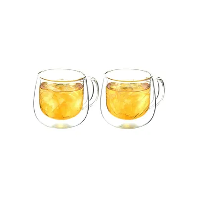 Fresno Double Walled Glass Cup with Handle 2-Piece Set