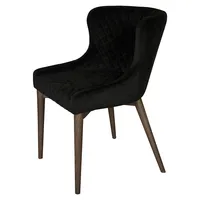 Fritz Mila 2-Piece Velvet Dining Chair Set