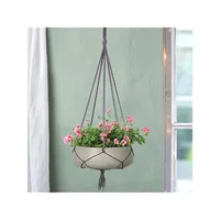 Classic Hanging Pot