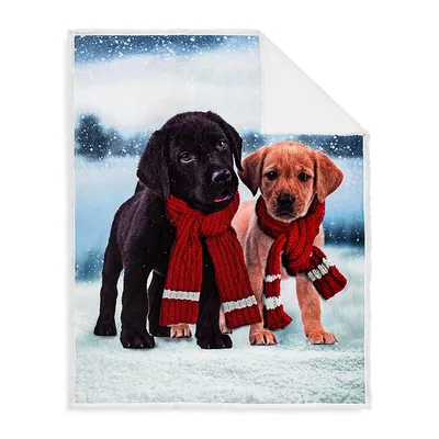 Reversible Doggy Friends Print & Faux Shearling Throw