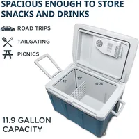 Electric Cooler & Warmer With Wheels & Handle, 48 Quart (45 L) Portable Thermoelectric Fridge For Vehicles & Trucks