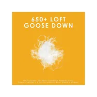 Regular Weight 650 Loft White Goose Down Duvet