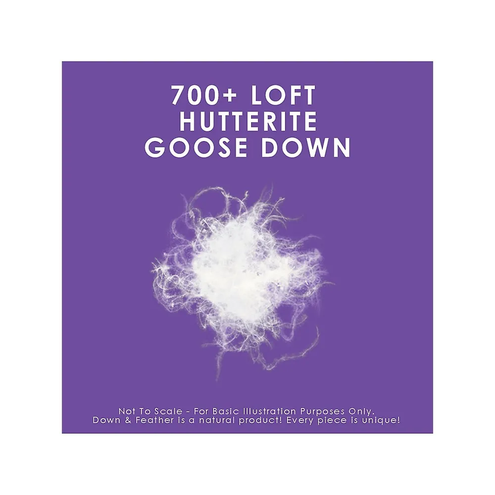Regular Weight 700 Loft Hutterite Goose Down Duvet