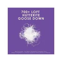 All Season Weight 700 Loft Hutterite Goose Down Duvet