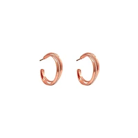 Rose-Goldplated Double-Hoop Huggie Earrings