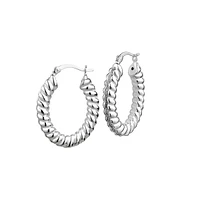 Silver Ribbed Hoop Earrings With Stardust Center