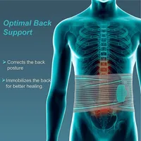 Back Support Belt - Waist Lumbar Lower Brace With Adjustable Straps