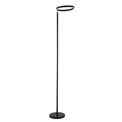 70" Led Floor Lamp - Black