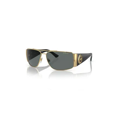 Ve2163 Polarized Sunglasses