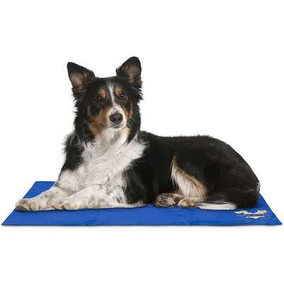 Arf Pets Memory Training Toy 