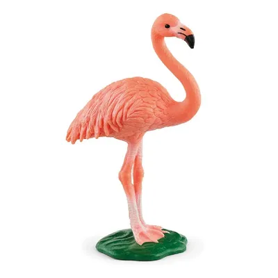 Wild Life: Flamingo