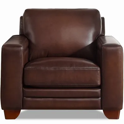 Alice 40.5 In. Leather Chair
