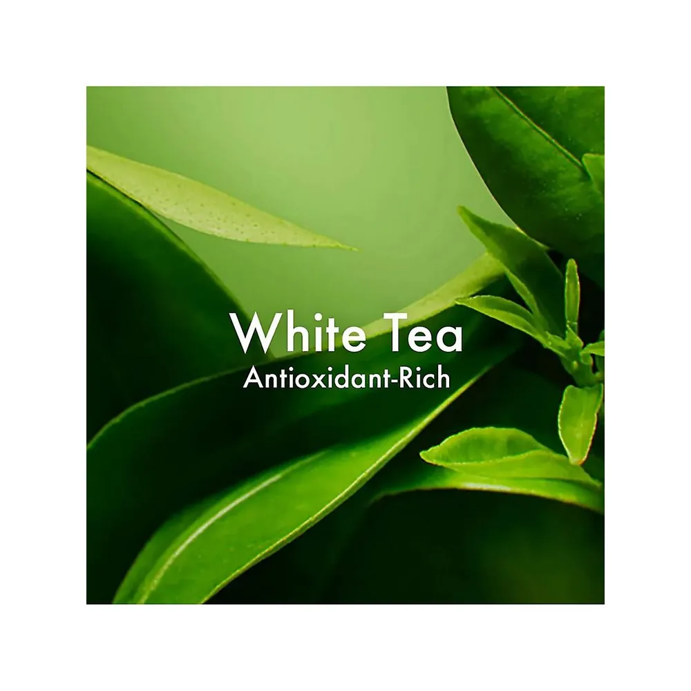 Hydratant prévention anti-âge au thé blanc A Perfect World FPS 40