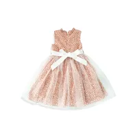 Little Girl's Charlotte Printed Tulle Dress