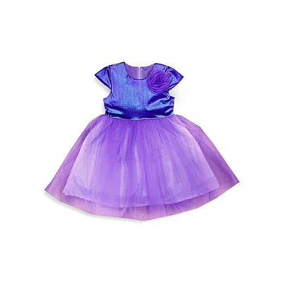 Little Girl's Elsa Floral Accent Flared Dress