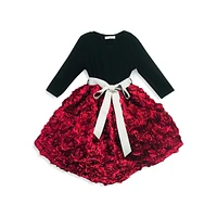 Little Girl's Melia Tied Contrast Rosette Dress