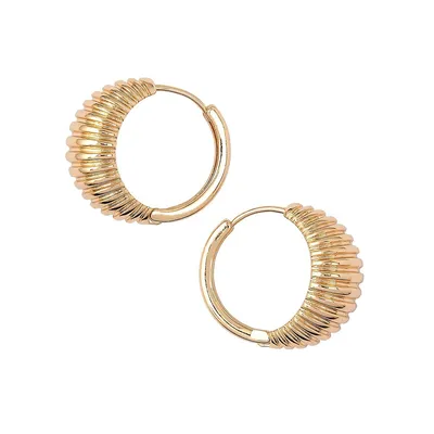 Goldtone Textured Shell Earrings