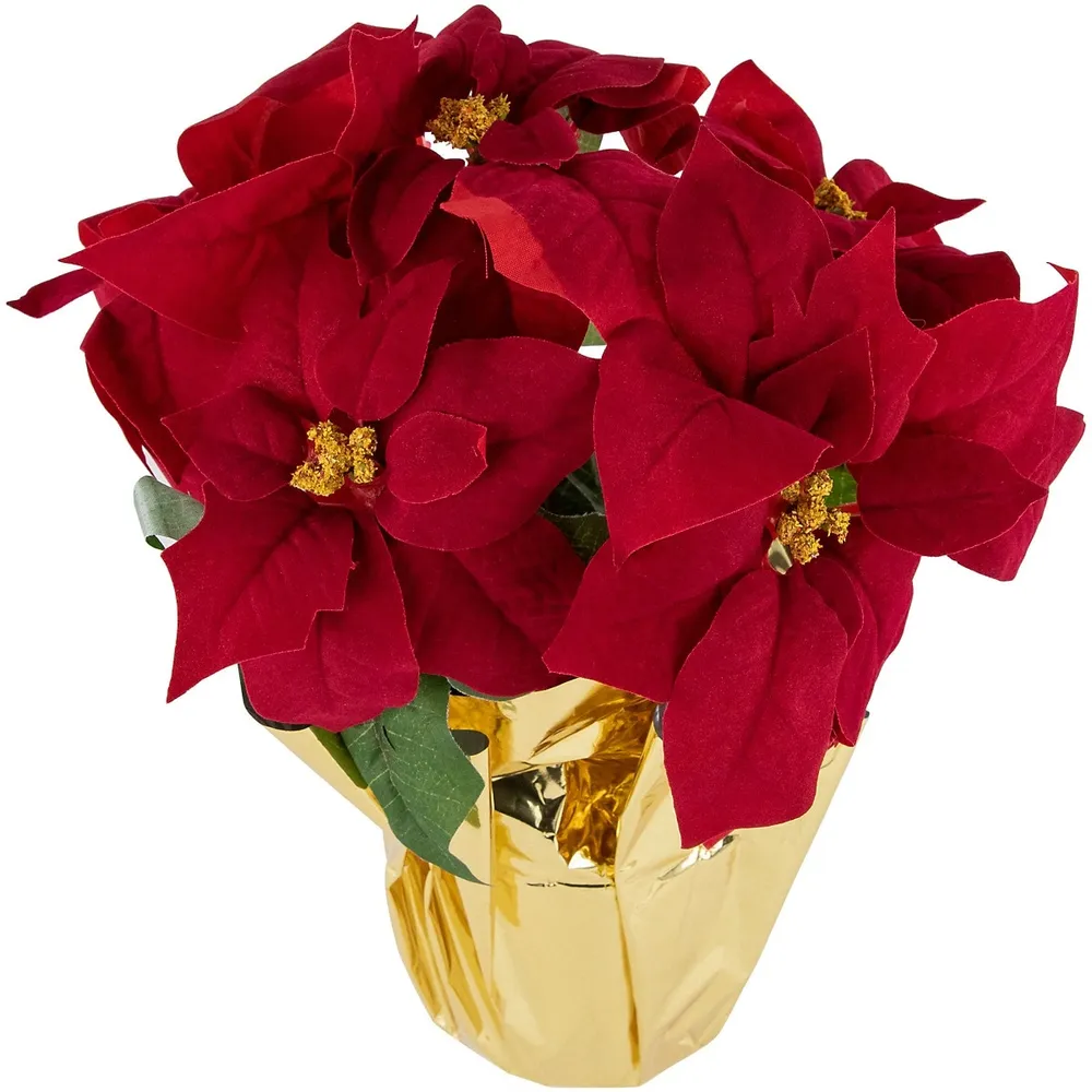 Northlight 22 White Artificial Christmas Poinsettia Flowers with Red  Wrapped Base