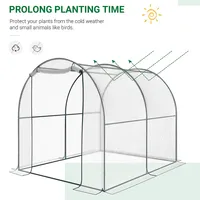 Dome Tunnel Greenhouse Plant Shed