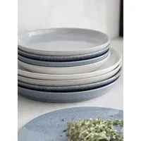 Studio Blue 4-Piece Coupe Dinner Plate Set