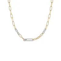 Higher Elevation Two-Tone Link Necklace